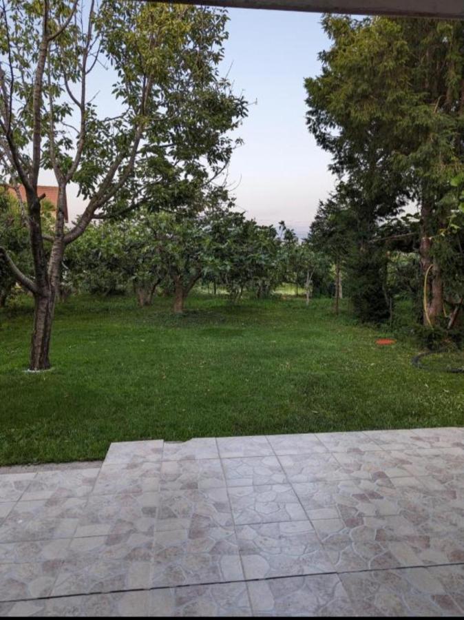 Apartment Filipovic Podgorica Ngoại thất bức ảnh